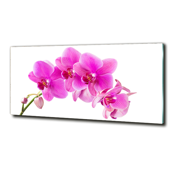 Schilderij glas Roze orchidee