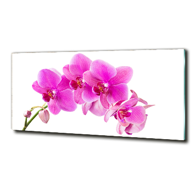 Schilderij glas Roze orchidee