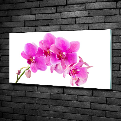 Schilderij glas Roze orchidee