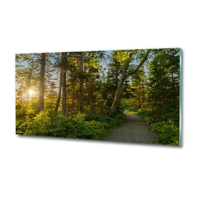 Glazen schilderij Woud