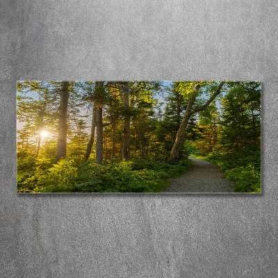 Glazen schilderij Woud