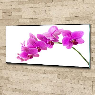 Foto schilderij op glas Roze orchidee