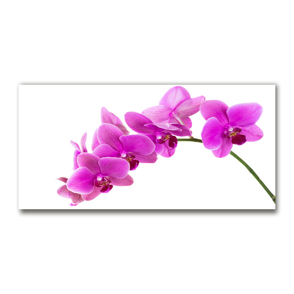 Foto schilderij op glas Roze orchidee