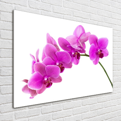 Foto schilderij op glas Roze orchidee