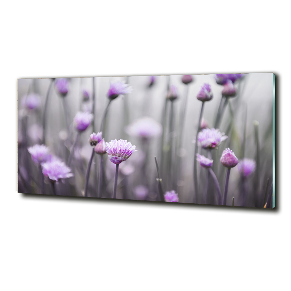 Schilderij op glas Bieslookbloemen