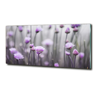 Schilderij op glas Bieslookbloemen