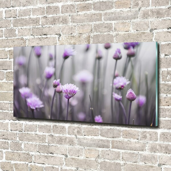 Schilderij op glas Bieslookbloemen