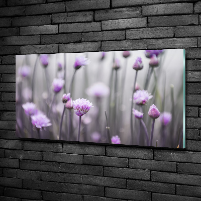 Schilderij op glas Bieslookbloemen