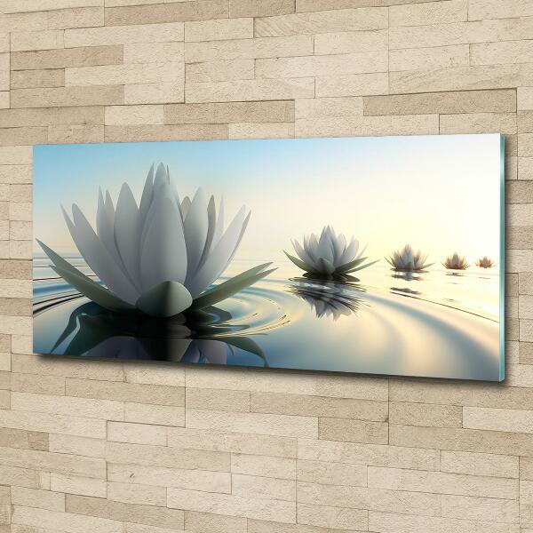 Foto schilderij op glas Lotusbloem