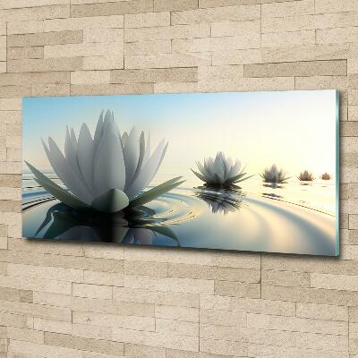 Foto schilderij op glas Lotusbloem