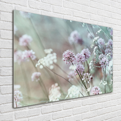 Foto schilderij op glas Wilde bloemen