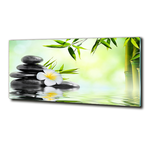 Schilderij op glas Plumeria en bamboe
