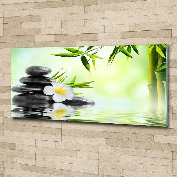 Schilderij op glas Plumeria en bamboe