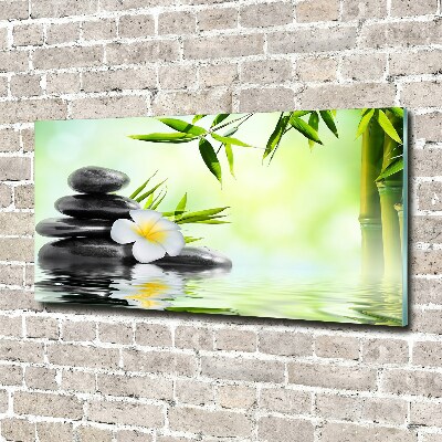 Foto obraz szklany Plumeria i bambus