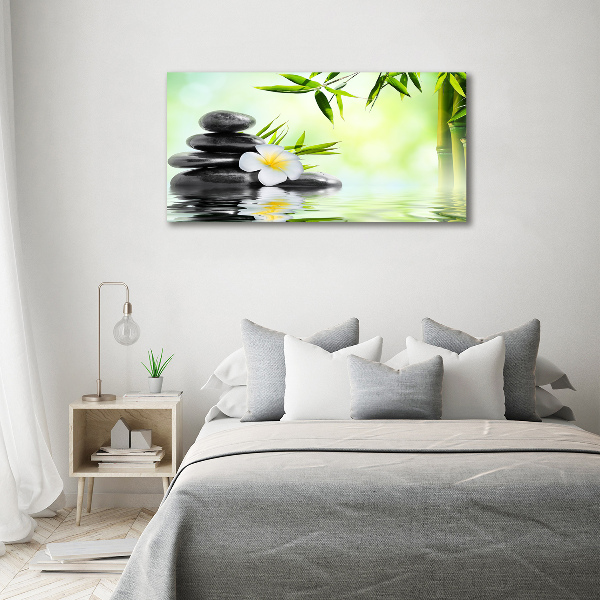 Schilderij op glas Plumeria en bamboe