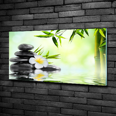 Schilderij op glas Plumeria en bamboe