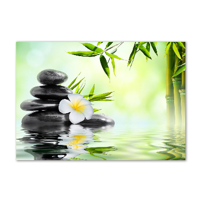 Schilderij op glas Plumeria en bamboe