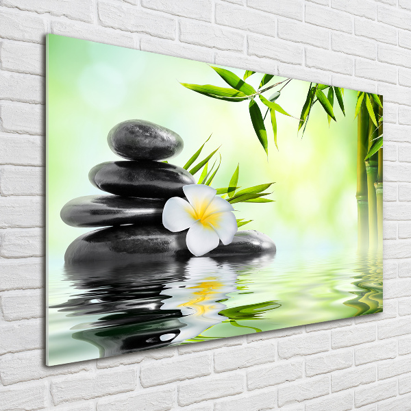 Schilderij op glas Plumeria en bamboe