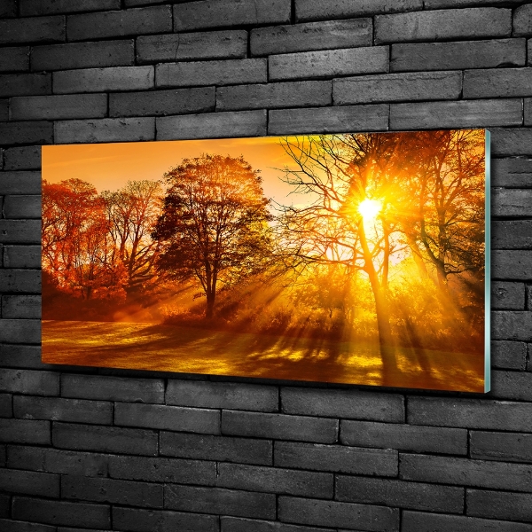 Glazen schilderij Zonsondergang