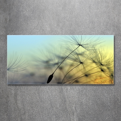 Schilderij glas Paardenbloemzaden