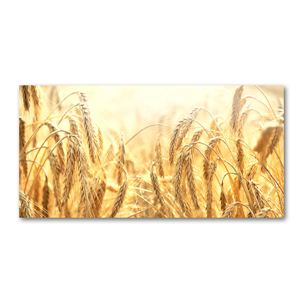 Glazen schilderij Graan