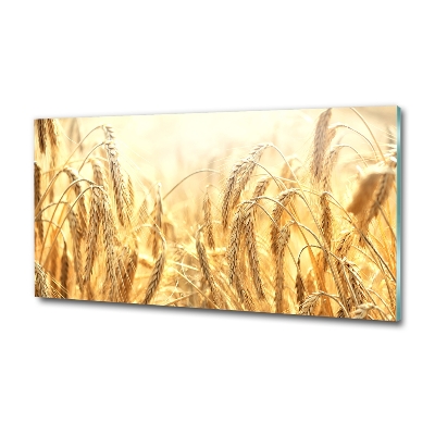 Glazen schilderij Graan