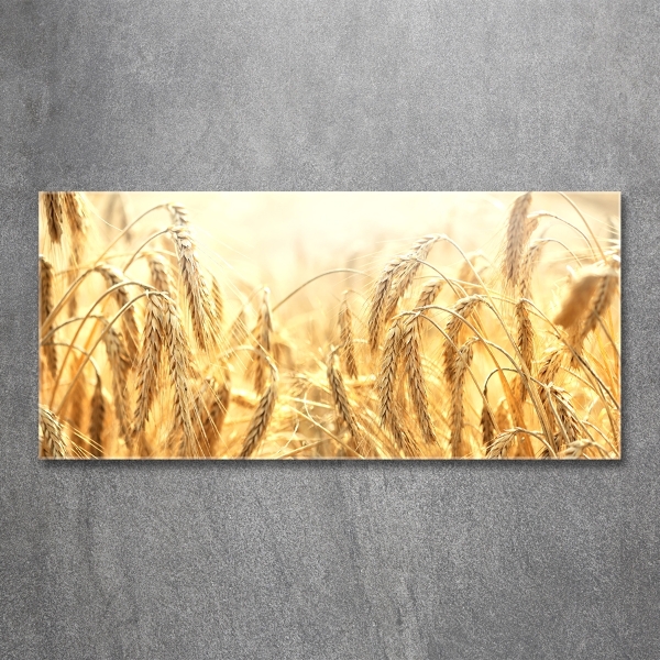 Glazen schilderij Graan