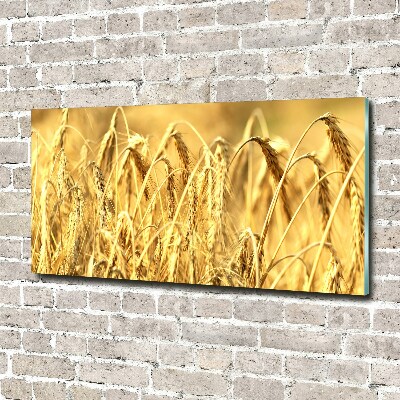 Foto schilderij op glas Graan