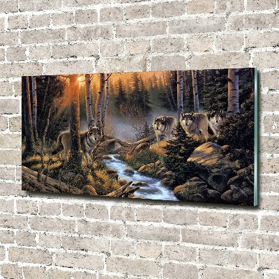 Schilderij op glas Een roedel wolven