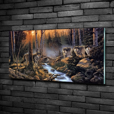 Foto-obraz szkło hartowane Wataha wilków