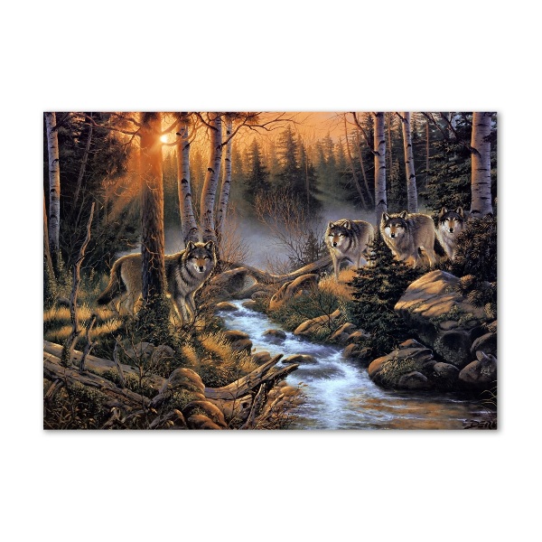 Schilderij op glas Een roedel wolven