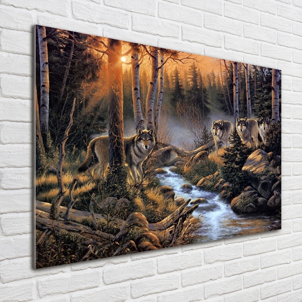 Schilderij op glas Een roedel wolven