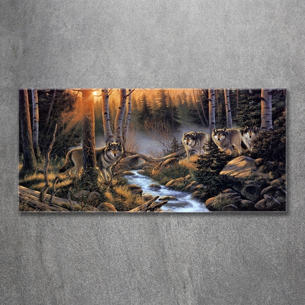 Schilderij op glas Een roedel wolven