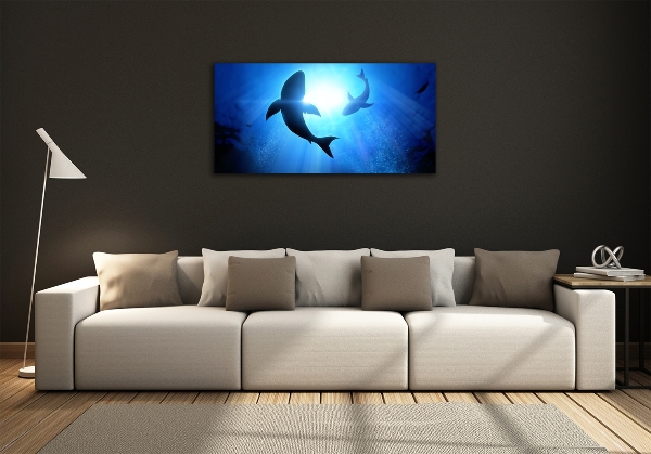 Foto-obraz szkło hartowane Dwa rekiny