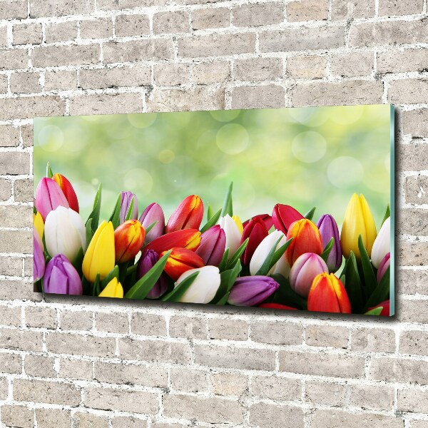 Schilderij op glas Kleurrijke tulpen