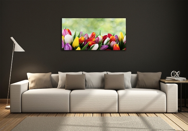 Schilderij op glas Kleurrijke tulpen