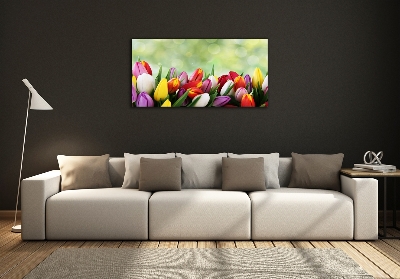 Schilderij op glas Kleurrijke tulpen