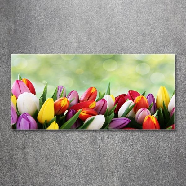 Schilderij op glas Kleurrijke tulpen