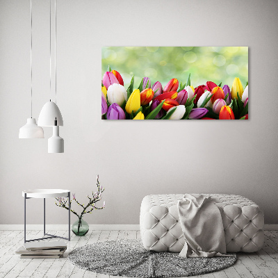 Schilderij op glas Kleurrijke tulpen