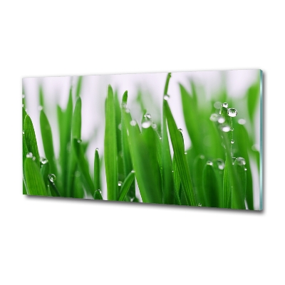 Schilderij glas grassprieten