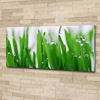 Schilderij glas grassprieten