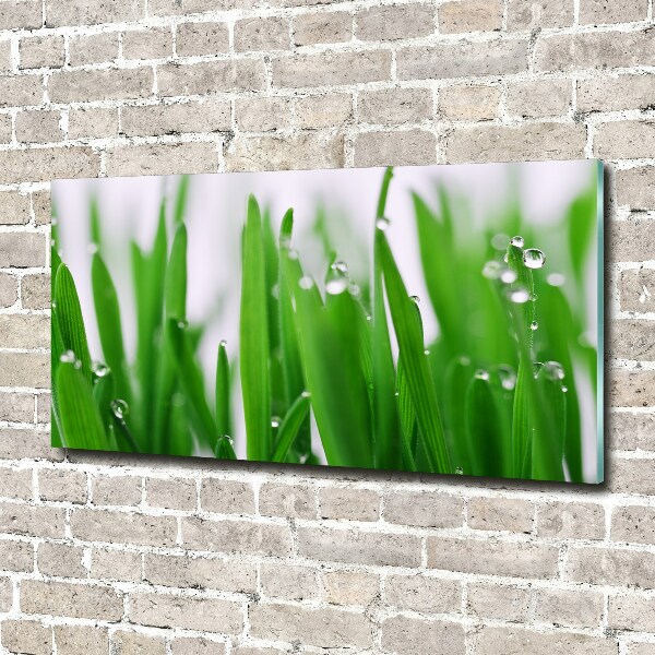 Schilderij glas grassprieten