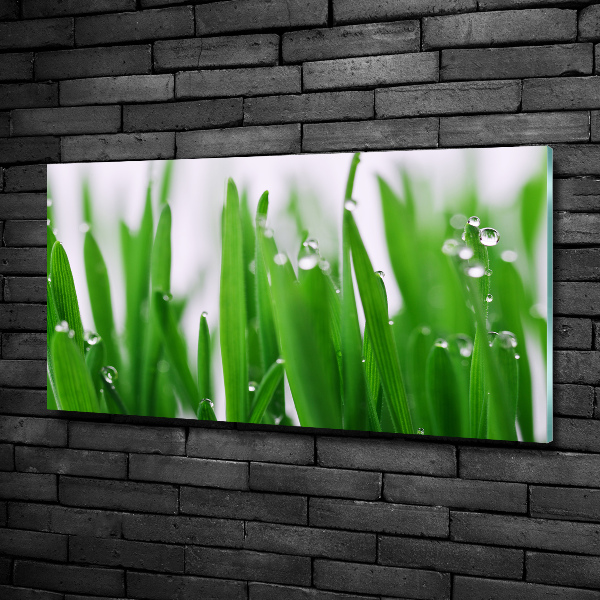 Schilderij glas grassprieten