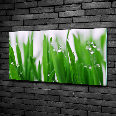 Schilderij glas grassprieten