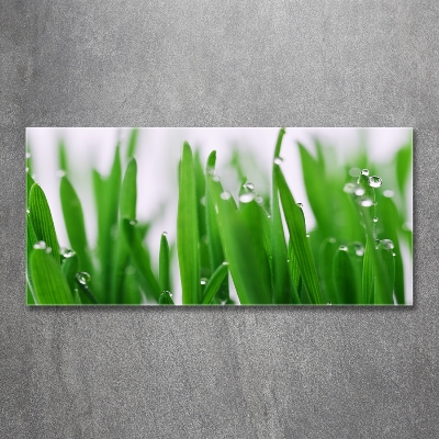 Schilderij glas grassprieten