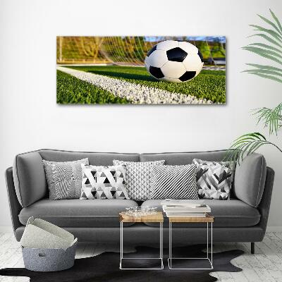 Foto schilderij op glas De bal ligt in het doel.
