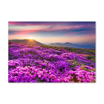 Schilderij glas Bloemen in de bergen