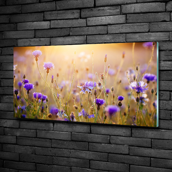 Foto schilderij op glas Wilde bloemen