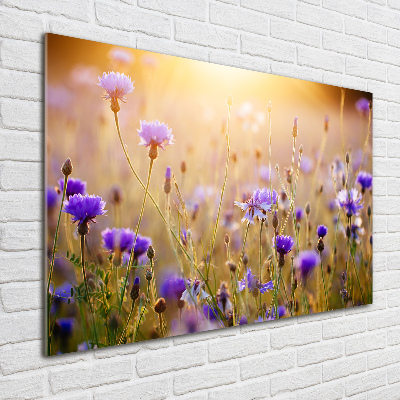 Foto schilderij op glas Wilde bloemen