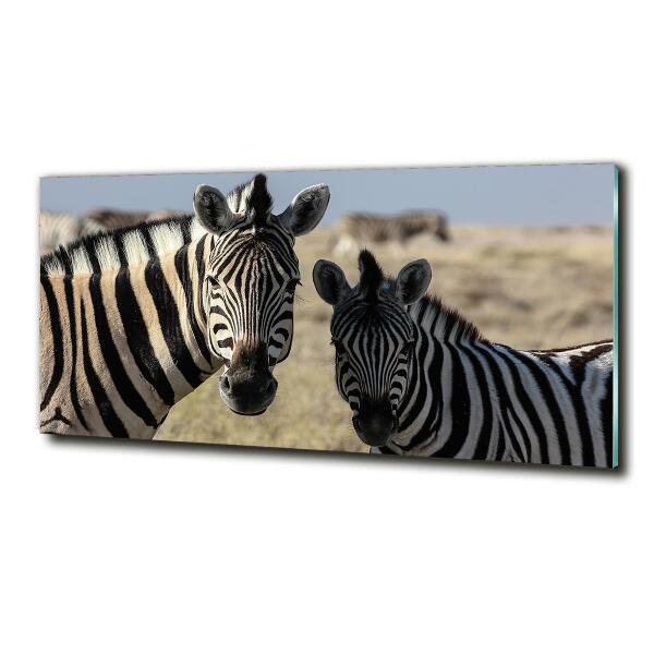 Glazen schilderij Twee zebra's